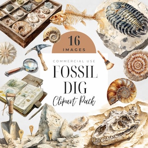 Può includere: Pacchetto di clipart ad acquerello con vari fossili, tra cui ammoniti, uno scheletro di pesce e un trilobite. L'immagine include una scatola di legno con fossili, una lente d'ingrandimento, un piccone e il testo "Fossil Dig Clipart Pack."