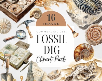 Clipart de Escavação de Fósseis, Gráficos de Arqueologia e Paleontologia, Fósseis de Dinossauros, Amonita, Trilobita, Clipart de Ferramentas de Escavação em Aquarela, Clipart Científico