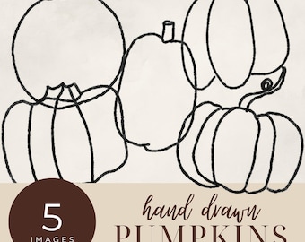 Hand Drawn Pumpkin Line Art Clipart, Autumn Pumpkin Outline Clip Art, Rustic Seasonal PNG, Cozy Fall Harvest PNGs, Thanksgiving Illustration