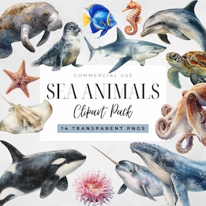 Puede incluir: Ilustraciones en acuarela de varias criaturas marinas, incluyendo un manatí, una foca, un tiburón, un delfín, una tortuga marina, un pulpo y una ballena. La imagen también presenta una estrella de mar, una raya, un caballito de mar y un pez azul. Texto: "Sea Animals Clipart Pack".