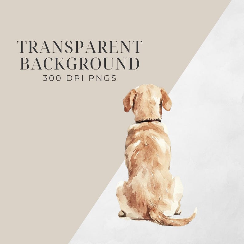 Labrador Retriever From Back Clipart, Transparent Png, Realistic Dog ...