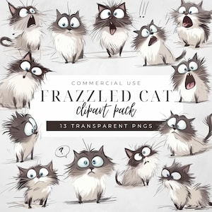 Frazzled Cat Clipart, Funny Cat Clipart, Quirky Cat Clipart, Cartoon Cat PNG, Frazzled Cat Clip Art, Transparent PNGs, Commercial Use PNGs