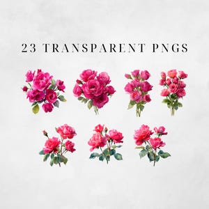 May include: Watercolor illustrations of pink roses in various arrangements. The image includes several bouquets and individual sprigs of roses with green leaves. Text at the top reads "23 Transparent PNGs."
