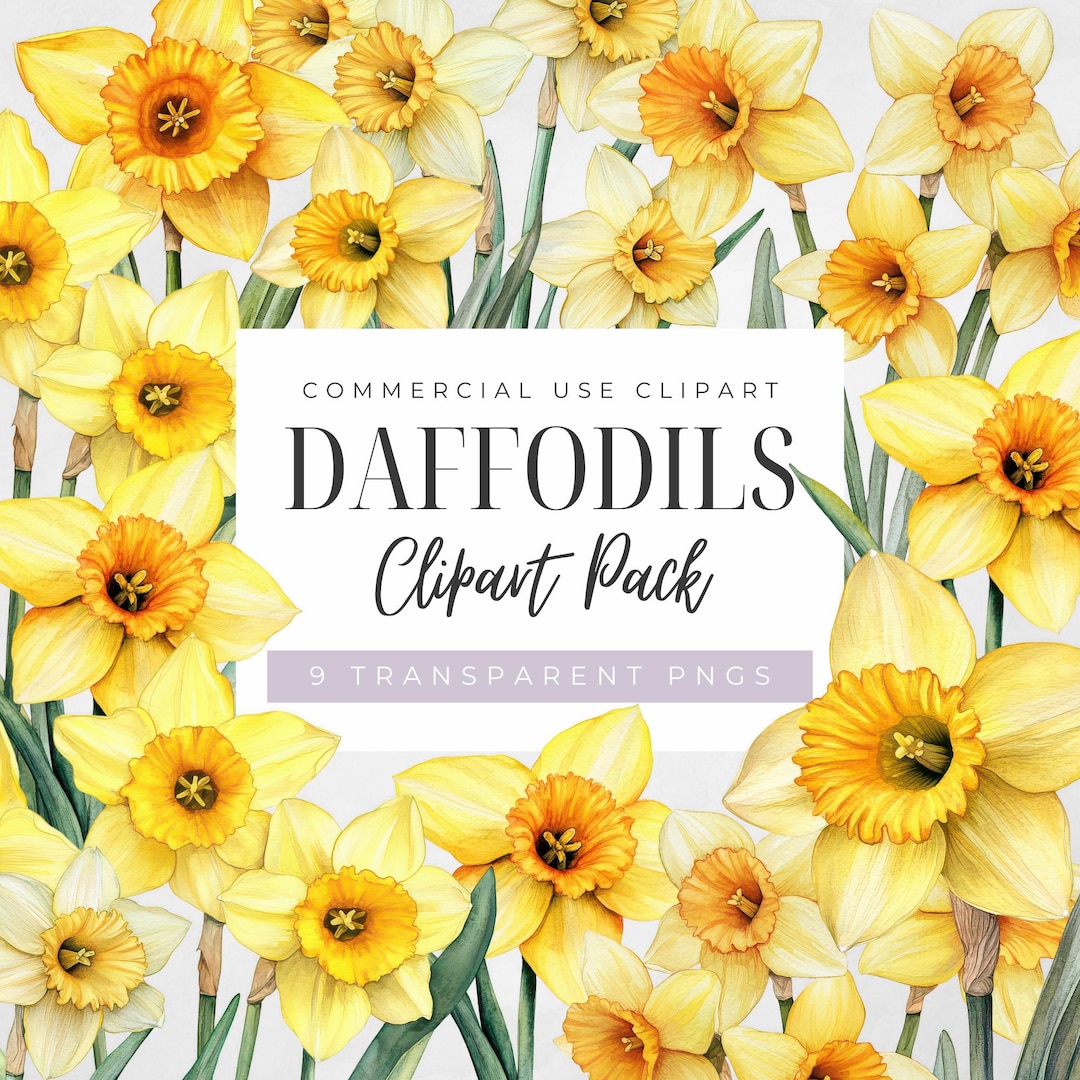 Watercolor Daffodil Clipart: Yellow Floral Pngs for Spring Designs ...