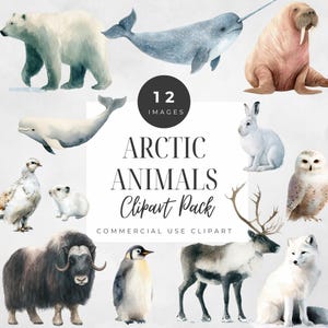 May include: Watercolor clipart pack featuring 12 arctic animals, including a polar bear, narwhal, walrus, beluga whale, arctic hare, owl, musk ox, penguin, reindeer, and arctic fox. The text "Arctic Animals Clipart Pack" is also included.