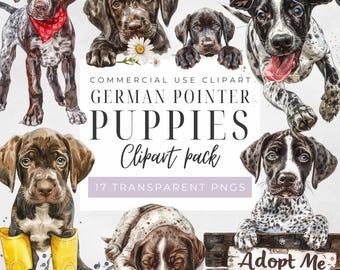 Watercolor German Shorthaired Pointer Puppy Clipart: PNG Stickers (Commercial Use)