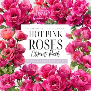 May include: A vibrant collection of hot pink roses, arranged in a lush display. The image features a square white box with the text "HOT PINK ROSES Clipart Pack" and "23 Transparent PNGs". The roses are in full bloom, showcasing their rich color and delicate petals.