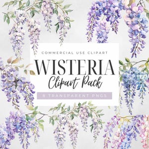 Clipart floreale acquerello glicine, fiori per invito a nozze, download immediato, uso commerciale, PNG trasparenti