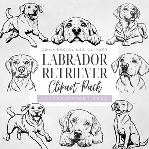 Labrador Retriever Outline Png, Dog Head, Silhouette, Transparent Png, Realistic Dog Breeds, Commercial Use, Dog Owner Gift,Digital Download