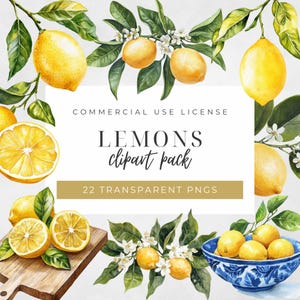 Watercolor Lemons Clipart, Citrus Floral Image, Italian Summer Lemonade, Mediterranean Amalfi Coast, Digital Transparent PNG, Commercial Use