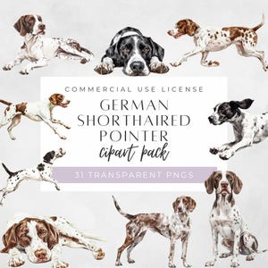 Clipart pointeur allemand à poil court, clipart aquarelle race de chien, cadeau pour les amoureux des chiens, autocollants imprimables, PNG transparents, usage Commercial