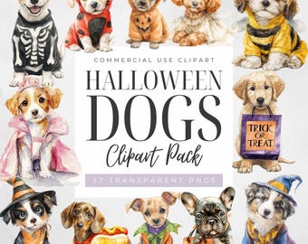 May include: Watercolor clipart pack featuring various dog breeds dressed in Halloween costumes. The dogs are depicted in costumes such as a skeleton, ladybug, pumpkin, angel, bee, witch, and more. The text "Halloween Dogs Clipart Pack" is also included.