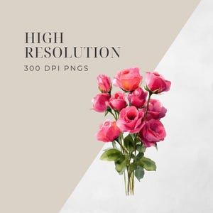May include: Watercolor illustration of a bouquet of pink roses with green leaves. The image has the text "HIGH RESOLUTION" and "300 DPI PNGS" in black font. The background is a neutral beige and white.