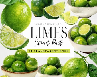 Aquarel limoenen clipartpakket, citrusvruchten png's, verse limoen schijfjes illustraties, zomerlimeade graphics, groene keukenkunst, wig png