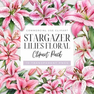 Akwarela Stargazer Lily Floral Clipart, Różowe Kwiaty, Wiosenny Ogród Wiejski, Bukiet, Wianek, Cyfrowe Przezroczyste PNG, Użytek Komercyjny