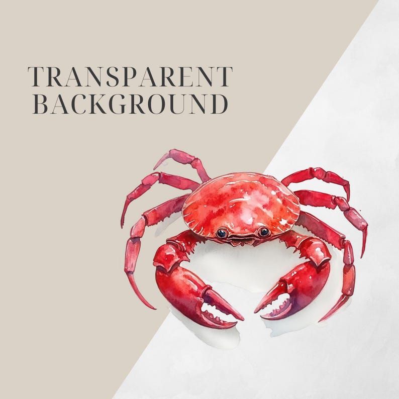 May include: A red crab with large claws is shown on a white background. The crab is facing the camera with its claws in front of it.
