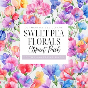 Clipart di pisello odoroso, fiori ad acquerello, PNG trasparenti, fiori per inviti di nozze, diario botanico di spazzatura, download immediato, uso commerciale