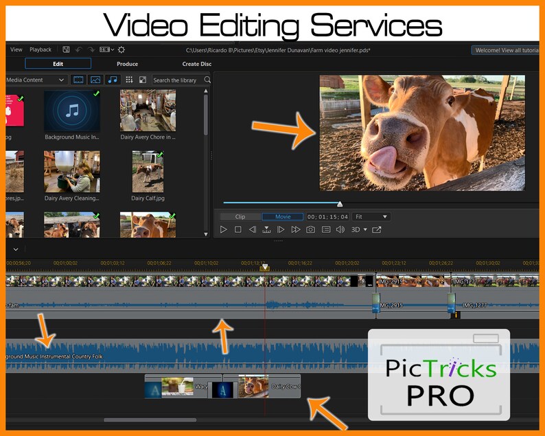May include: A screenshot of video editing software with the text "Video Editing Services" at the top. The software interface displays a video timeline, media content, and a preview of a cow. The software logo "PicTricks PRO" is visible.