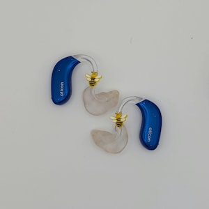 Hearing Aid Charms - Bumble Bee - BTE Hearing Aids Accessory