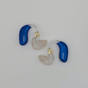 Hearing Aid Charms - Flower Silver / Gold - BTE Hearing Aids Accessory