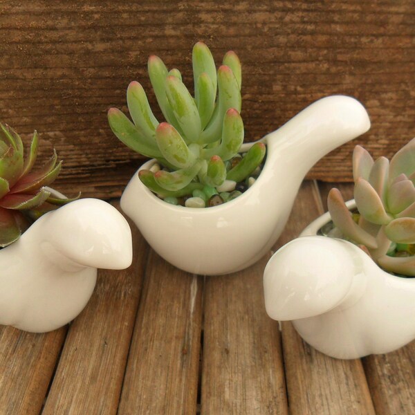 RESERVED For Meredith, 40 Succulent And White Ceramic Bird Favors, Wedding Favors, SHip Date June 14