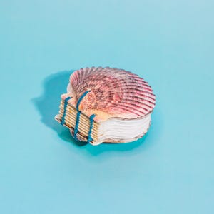 Pode incluir: Um caderno em forma de concha com uma capa de concha listrada em rosa e branco. As páginas são brancas e amarradas com barbante azul. O caderno está sobre um fundo azul claro.