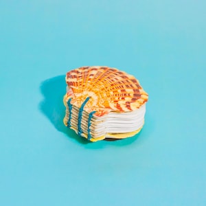 Pode incluir: Um bloco de notas em forma de concha com uma pilha de páginas brancas. A concha é laranja e castanha com um padrão texturizado. As páginas são presas com barbante azul. O bloco de notas está sobre uma superfície azul clara.