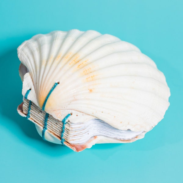 Medium Irish King Scallop Shell Journal | White, Coptic Stitch, Seashell, Handmade Book, One of a Kind