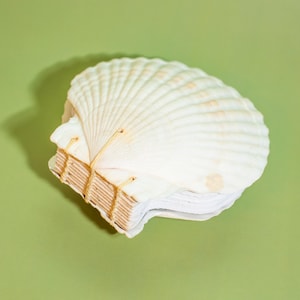 Pode incluir: Um caderno em forma de concha, com uma capa texturizada de cor creme. As páginas são encadernadas com barbante de cor natural. O caderno está sobre um fundo verde claro, criando um tema costeiro.