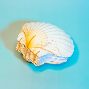 Pode incluir: Um caderno em forma de concha com uma capa de concha branca e amarela. As páginas são azuis claras e encadernadas com barbante bege. O caderno repousa sobre uma superfície azul clara.