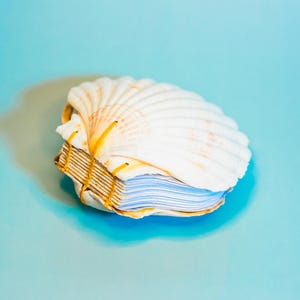 Pode incluir: Um caderno em forma de concha com uma capa de concha branca e páginas azuladas. O caderno é encadernado com uma linha de cor bege. O fundo é azul claro.