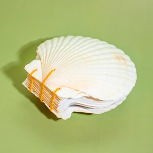 Pode incluir: Um diário artesanal com uma capa de concha branca natural. As páginas são encadernadas com fio laranja, criando um contraste marcante. O diário repousa sobre uma superfície verde clara, realçando a sua forma orgânica.