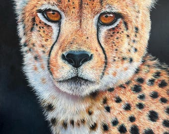 Cheeta: