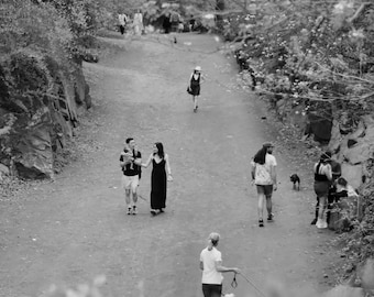 Central Park Without Color