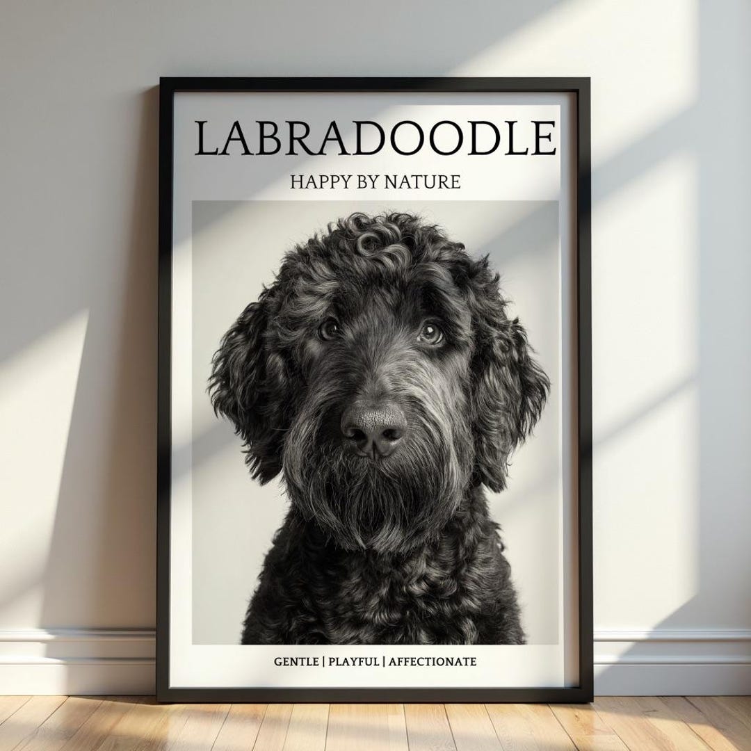 Labradoodle Portrait - Black and White Dog Print - Minimalist Pet Wall ...