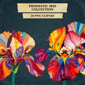 Pacchetto di clipart PNG di iris prismatiche, fiori di iris colorati, PNG floreali arcobaleno, clipart di iris per tecniche miste, grafica botanica, 20 PNG