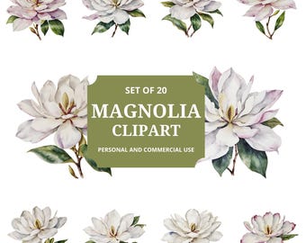 Magnolie Clipart