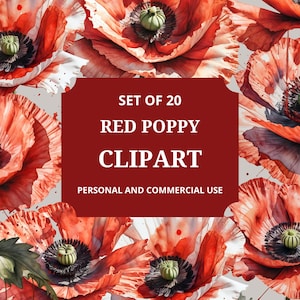 Clipart de papoula vermelha