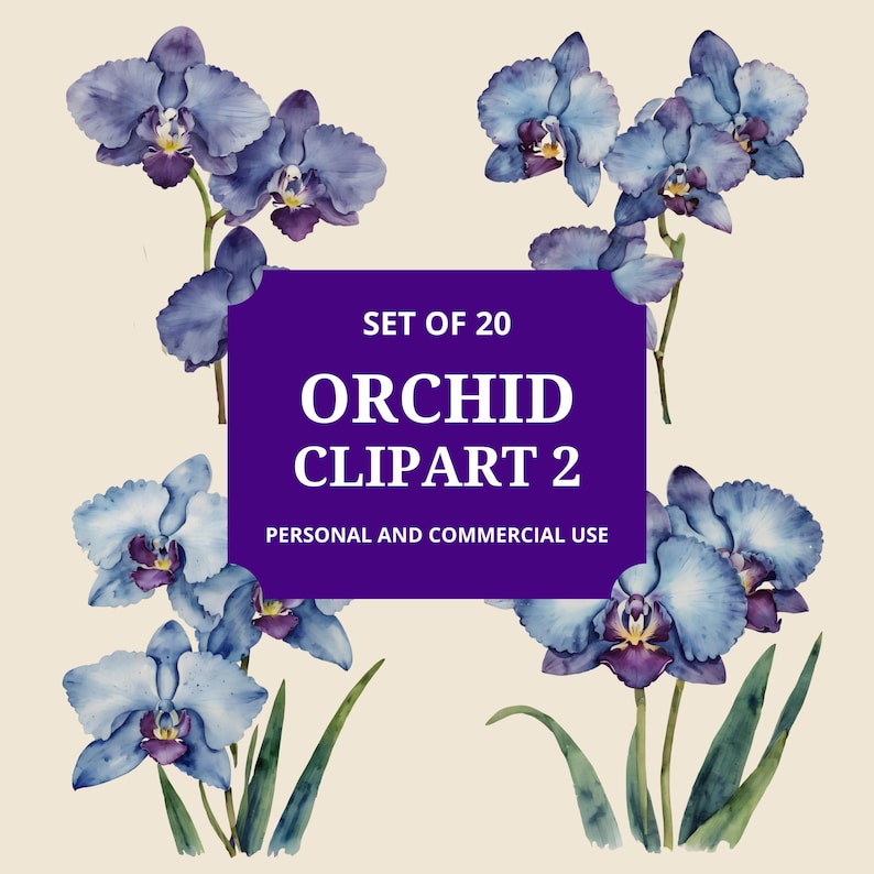 Orchid Clipart 2 | Watercolor Flower Pngs for Scrapbooking, Weddings ...