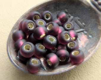 100 Miyuki Miyuki dunkle Amethyst matte Glasperlen: mit Silbereinzug 6/0