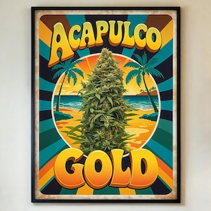 Peut inclure: Affiche encadrée avec les mots "ACAPULCO GOLD" en jaune et orange, sur une scène de plage avec des palmiers et une grande plante de cannabis. Le fond présente un design rétro avec des couleurs turquoise, orange et marron.