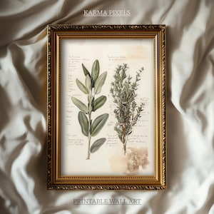 Getrockneter Salbei Herbarium Wandkunst, minimalistische Kräuter Art druckbare, druckbare digitale Download, Küchenwandkunst, heilende Kräuter botanische Druck