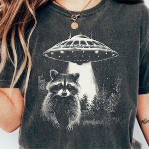 Espace raton laveur drôle sarcastique Png, fichiers Png, conception de tshirt, modèle de chemise, modèle de chemise drôle, chemise raton laveur, design vintage