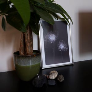 Póster floral minimalista, Herbarium II, Lola Blanchard