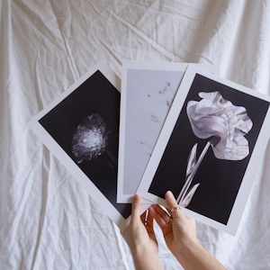 Pack de 2 pósters de la colección “Herbarium”, de Lola Blanchard