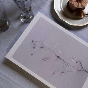 Póster floral minimalista, Herbario I, Lola Blanchard