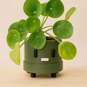 May include: A green plant pot with a cartoon face design, holding a small houseplant. The pot has black rectangular eyes and a white rectangular mouth. The plant has round, green leaves.