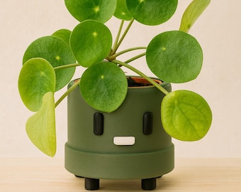 Money Maker indoor Planter