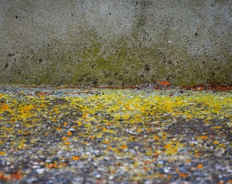 Bitumen 2