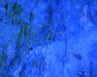 Cicatrices